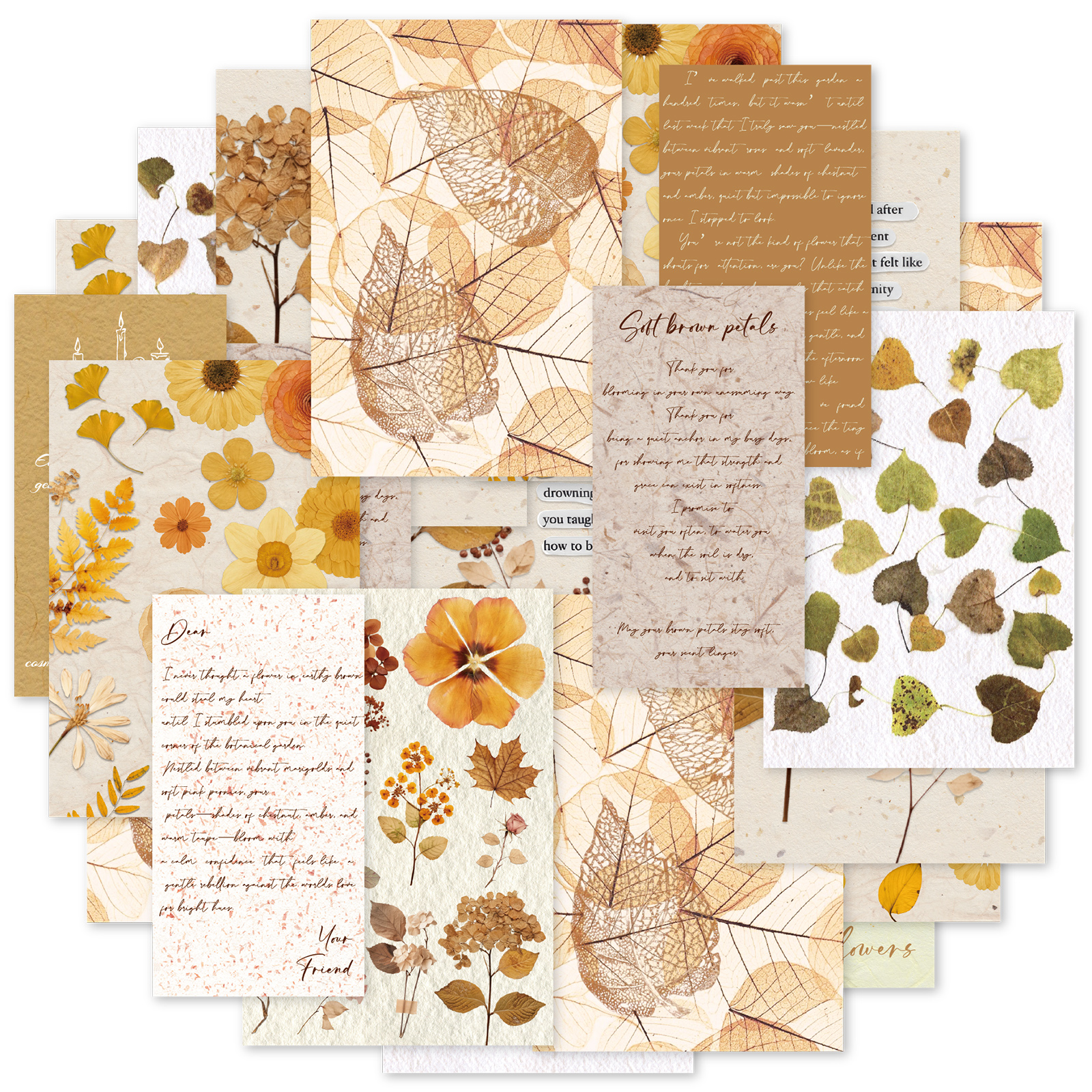 Etori Life 20Pcs Vintage Autum - огляд і ціна The Korean Lifestyle Book