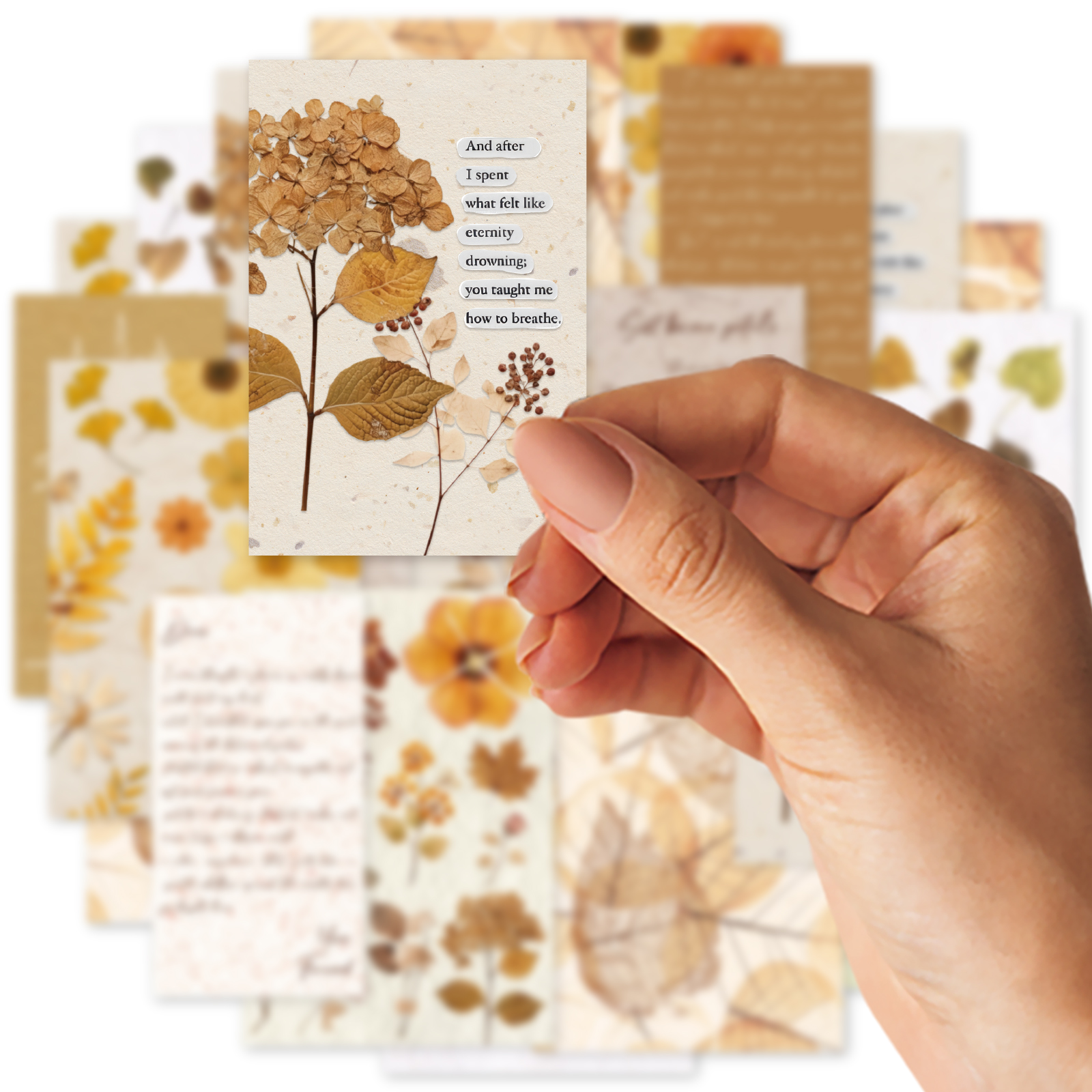 Etori Life 20Pcs Vintage Autum - огляд і ціна The Korean Lifestyle Book